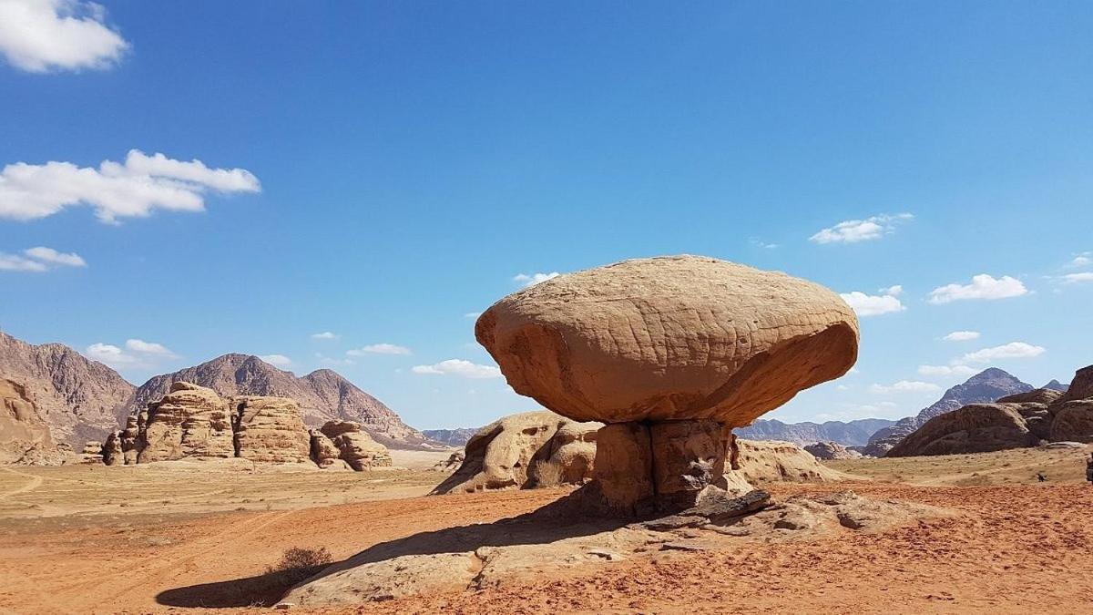 Moon City With Jeep Trips Wadi Rum Exteriör bild