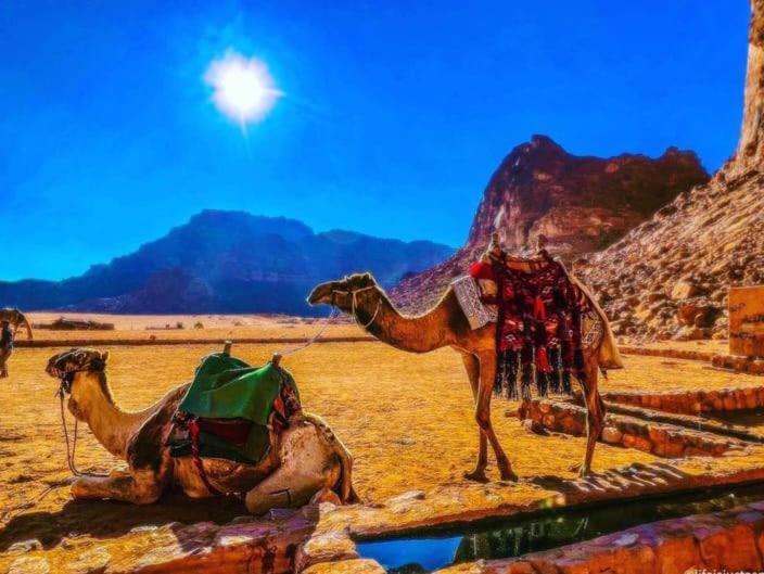 Moon City With Jeep Trips Wadi Rum Exteriör bild