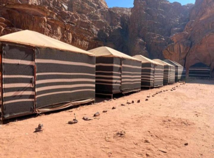 Moon City With Jeep Trips Wadi Rum Exteriör bild