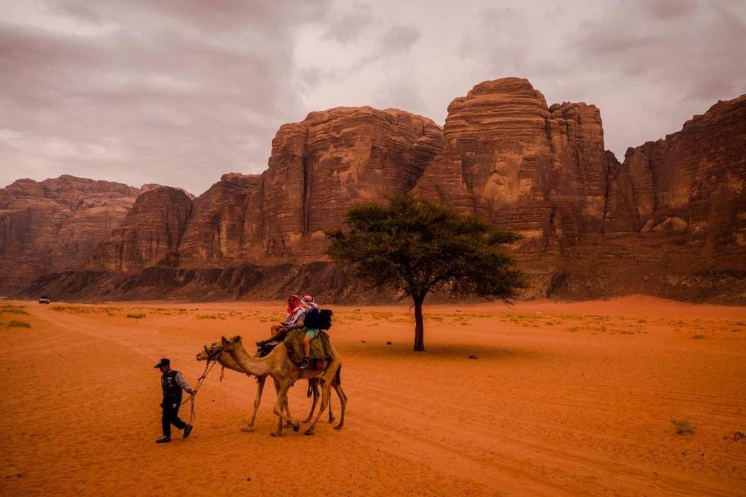 Moon City With Jeep Trips Wadi Rum Exteriör bild