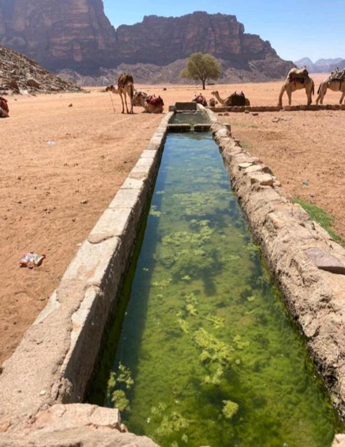 Moon City With Jeep Trips Wadi Rum Exteriör bild