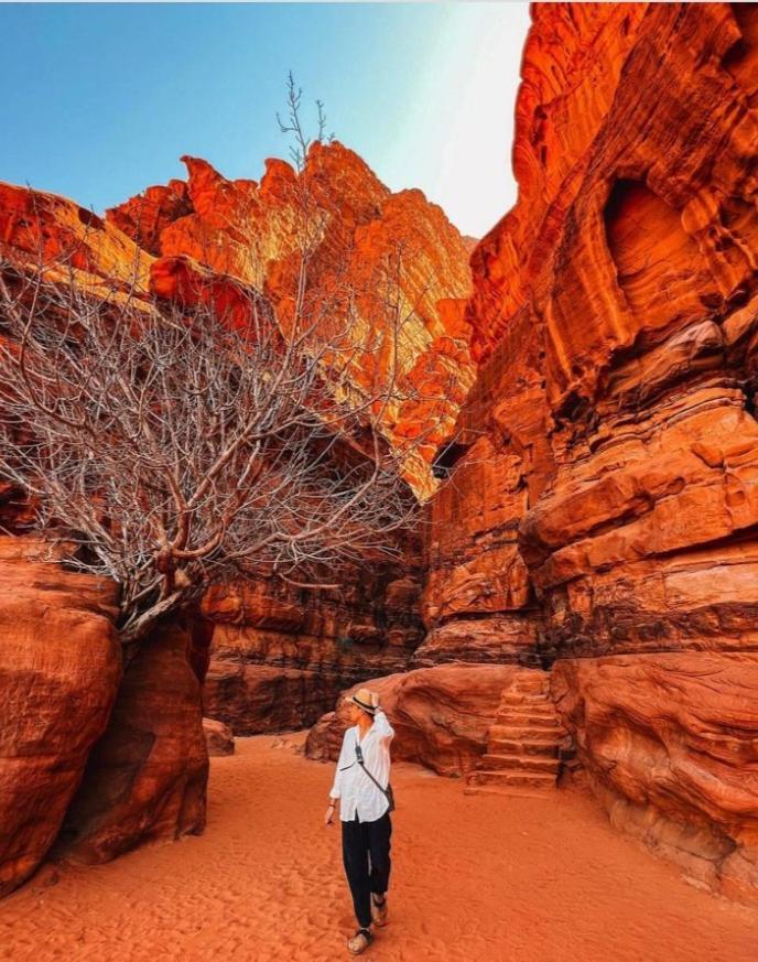 Moon City With Jeep Trips Wadi Rum Exteriör bild